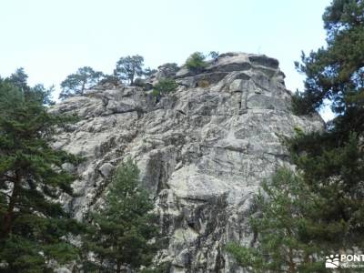 Chorro,Pinares Navafría-Baño senderista;cañon del rio lobos rutas con niños sitios en madrid para vi